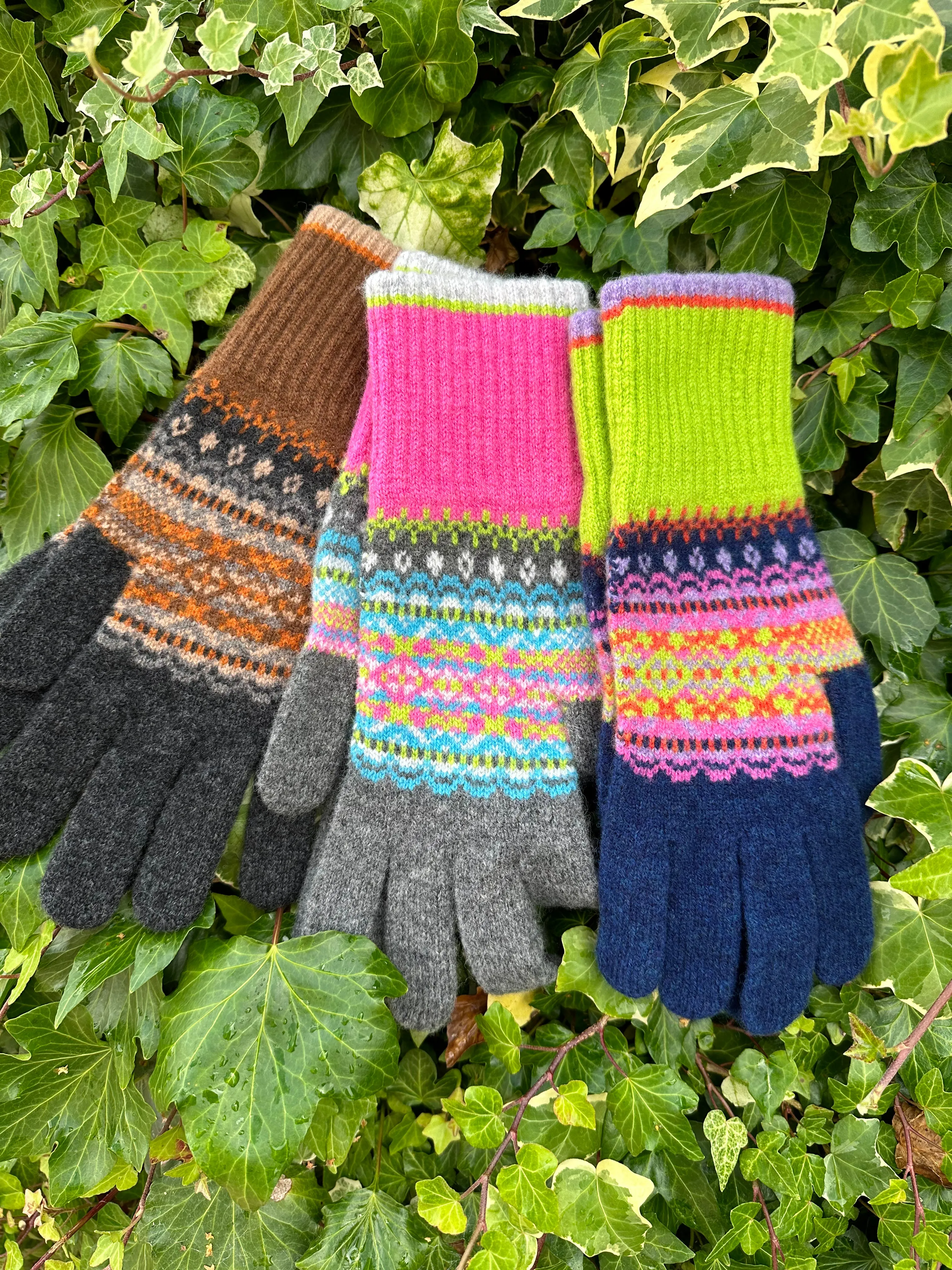 Eribe Knitwear Alloa Glove G4207 In Molly