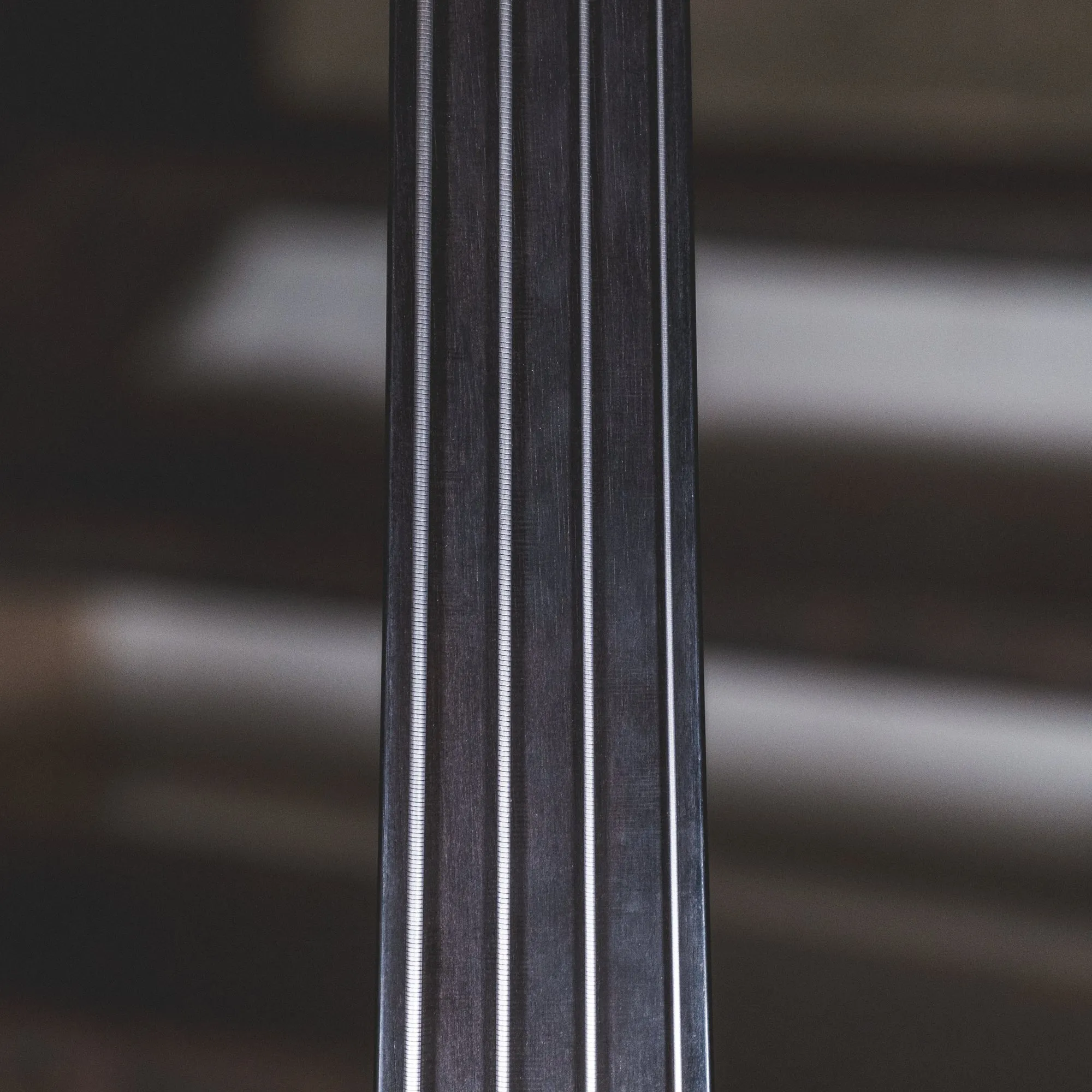 Warwick 2008 Infinity F-Hole Fretless Flamed Maple With Gig Bag - Used